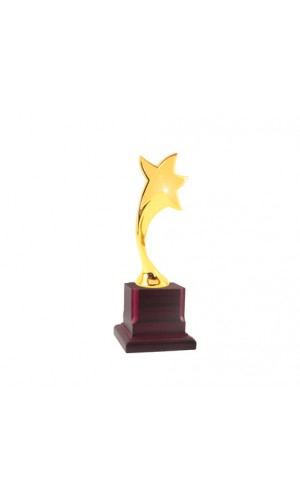 golden big star trophy new