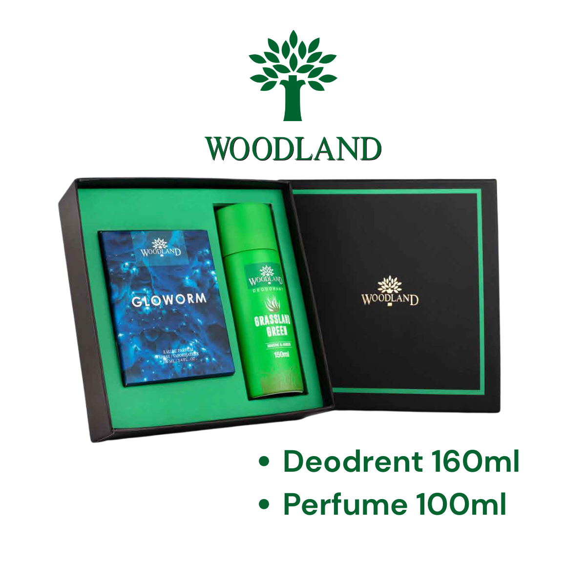 Woodland Grooming Essentials Combo Set – Perfume (100 ml) & Deodorant (160 ml)