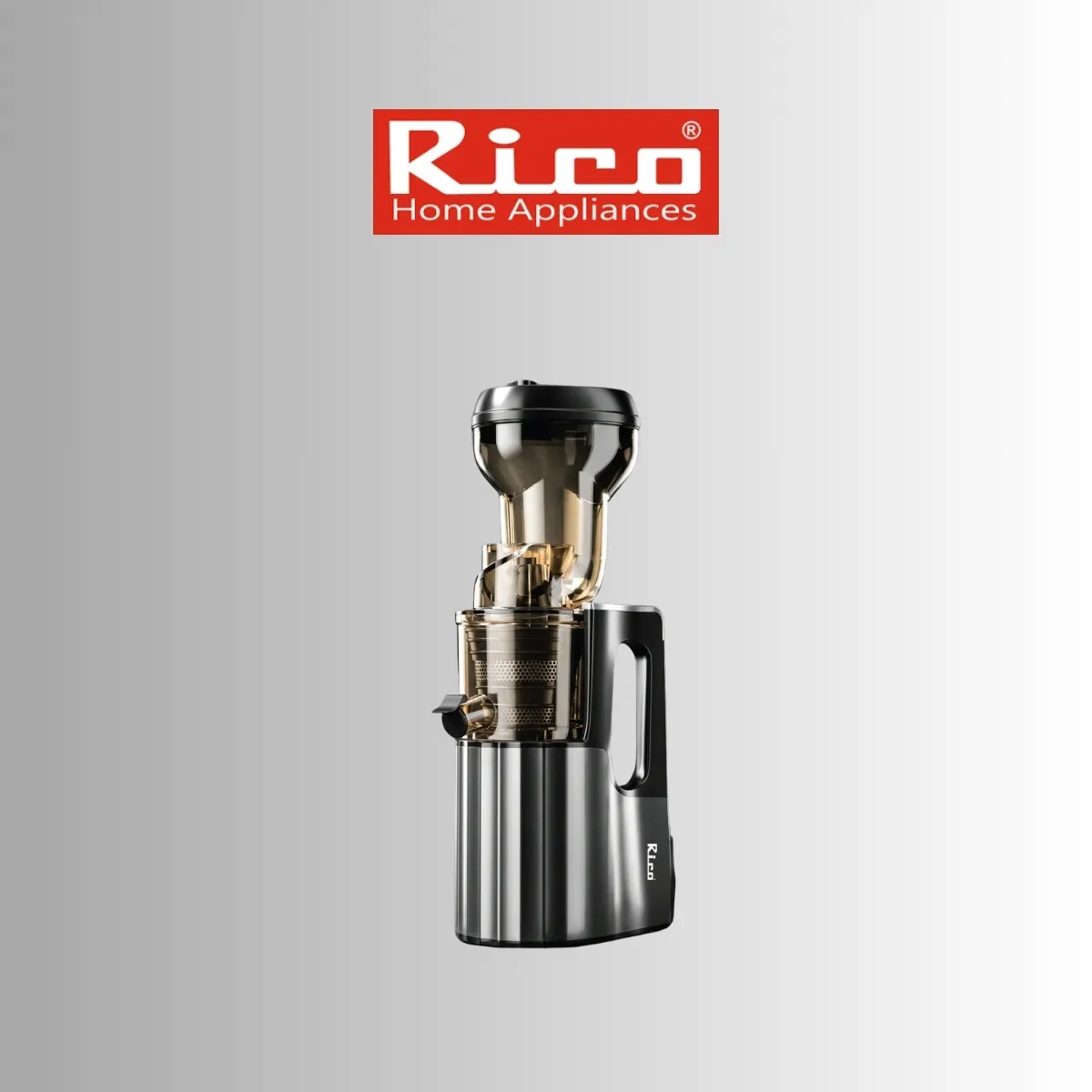 Rico SJ2508 Cold Press Slow Berry Juicer