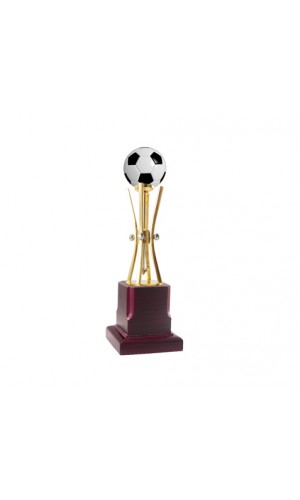 golden trophy with football new